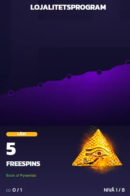 21bit VIP program