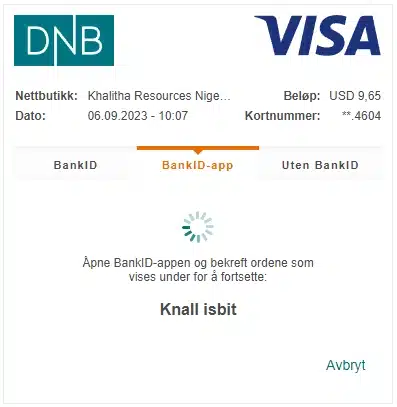 Innskudd med VISA hos Arctic&nbsp;Casino