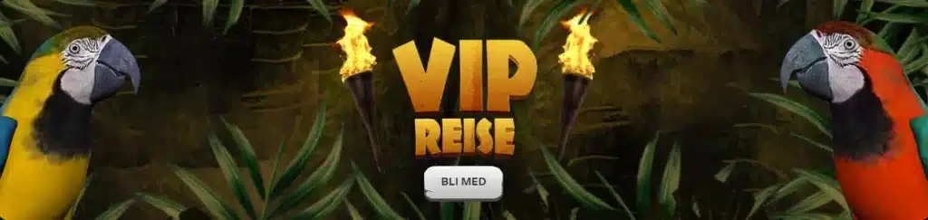 CashWin VIP-program