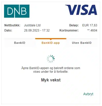 Innskudd med VISA hos Hey Casino