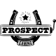 Prospect Gaming logo