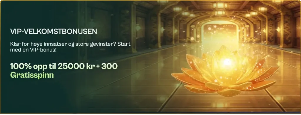 Spinzen Casino VIP Bonus